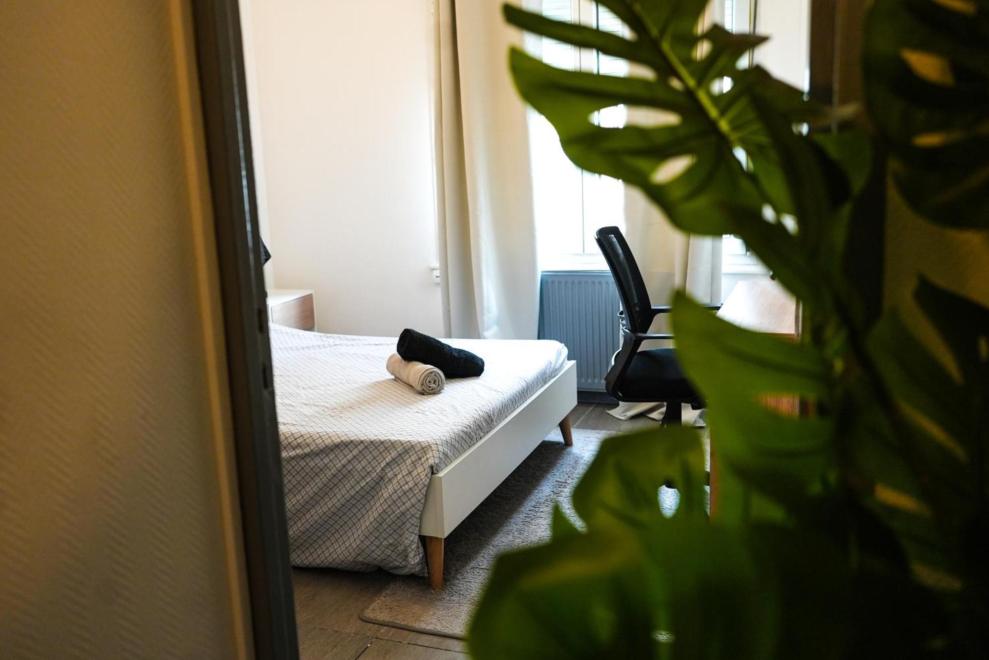 Appartement Temis Et Centre Ville Avec Parking-Wifi Безансон Экстерьер фото